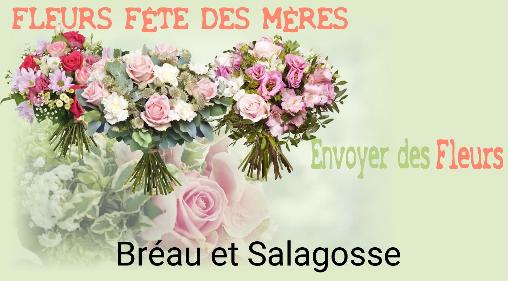Bouquet de Fête des Mères livré à Bréau-et-Salagosse